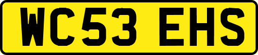 WC53EHS