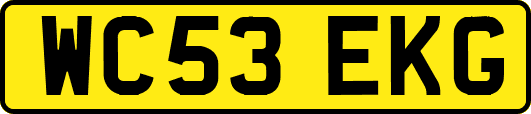 WC53EKG