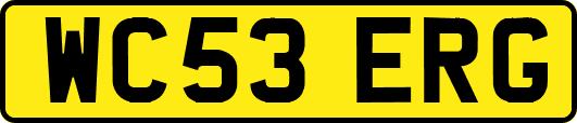 WC53ERG