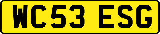 WC53ESG