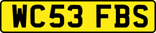 WC53FBS