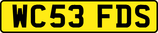 WC53FDS