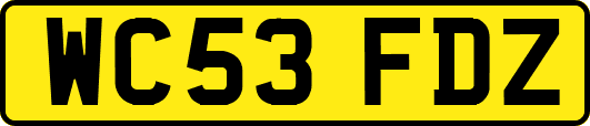 WC53FDZ