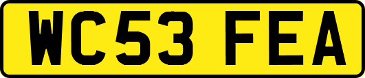 WC53FEA