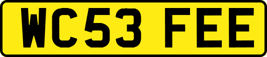 WC53FEE