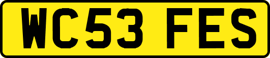 WC53FES