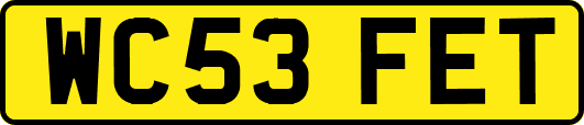 WC53FET