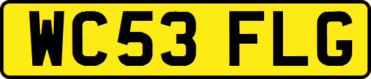 WC53FLG