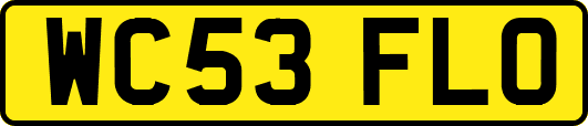 WC53FLO