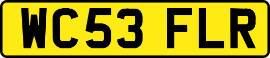 WC53FLR