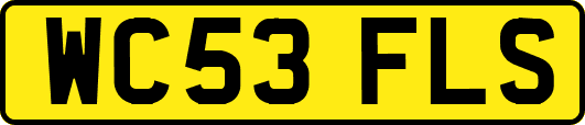 WC53FLS