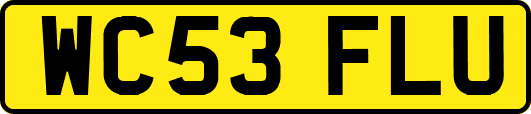 WC53FLU
