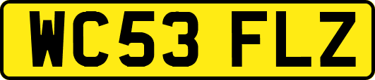 WC53FLZ