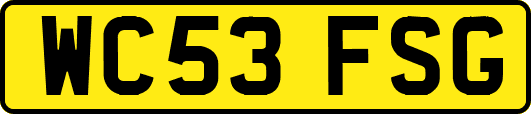WC53FSG
