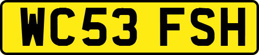 WC53FSH