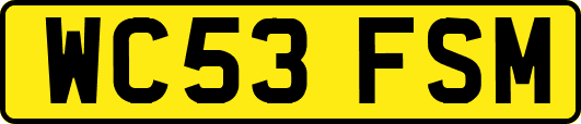 WC53FSM