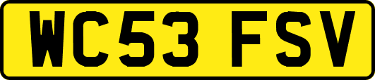 WC53FSV