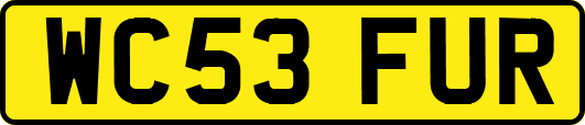 WC53FUR