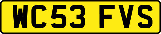 WC53FVS