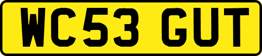 WC53GUT
