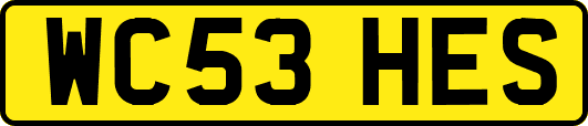 WC53HES