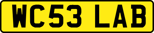 WC53LAB