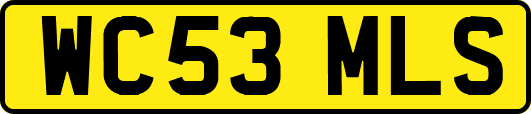 WC53MLS