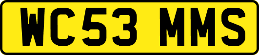 WC53MMS