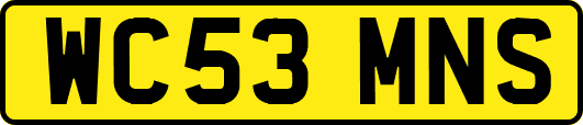 WC53MNS
