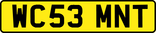 WC53MNT