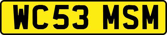 WC53MSM