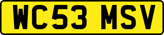 WC53MSV