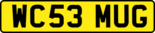 WC53MUG