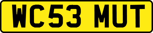 WC53MUT