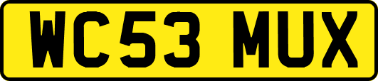 WC53MUX