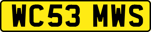 WC53MWS