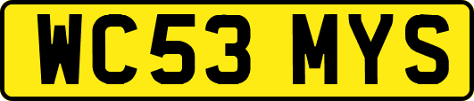 WC53MYS