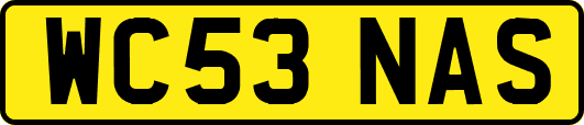 WC53NAS