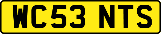 WC53NTS