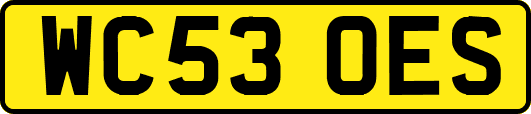 WC53OES