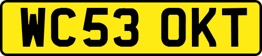 WC53OKT