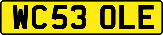 WC53OLE
