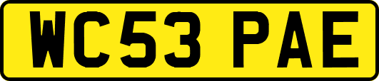 WC53PAE