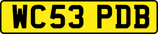 WC53PDB