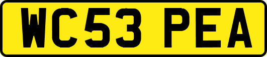 WC53PEA