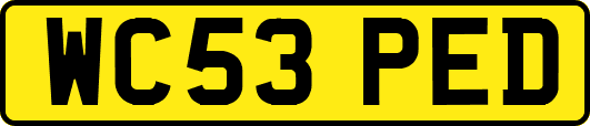 WC53PED