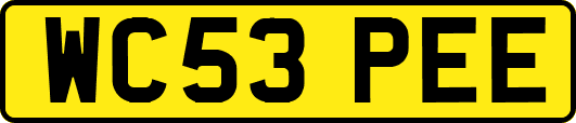 WC53PEE