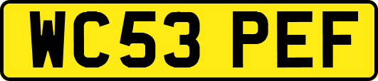 WC53PEF