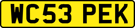 WC53PEK