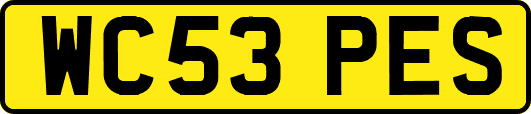 WC53PES
